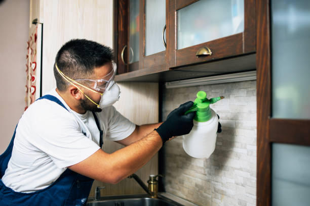 Best Wasp Removal Services  in Chetopa, KS