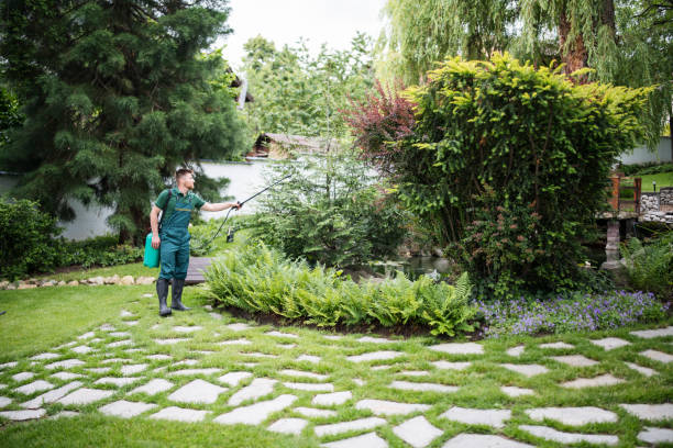 Best Affordable Pest Control Services  in Chetopa, KS