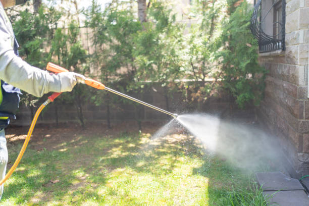 Best Termite Control Services  in Chetopa, KS