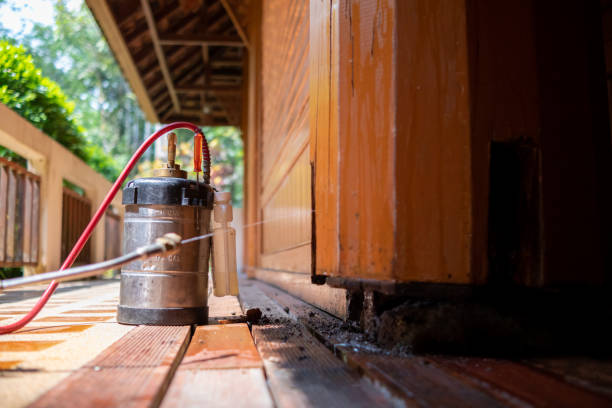 Best Cockroach Control Services  in Chetopa, KS