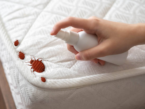 Pest Prevention Services in Chetopa, KS