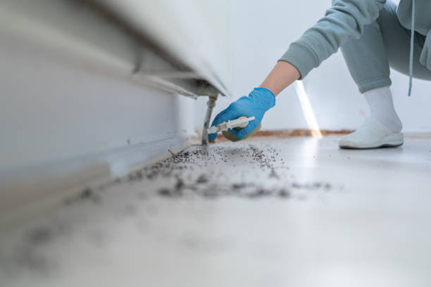 Best Mosquito Control Services  in Chetopa, KS