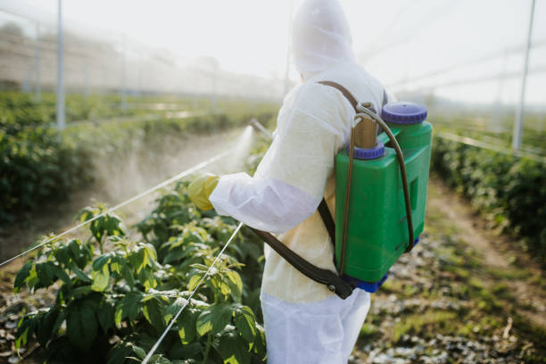 Best Flea Control Services  in Chetopa, KS